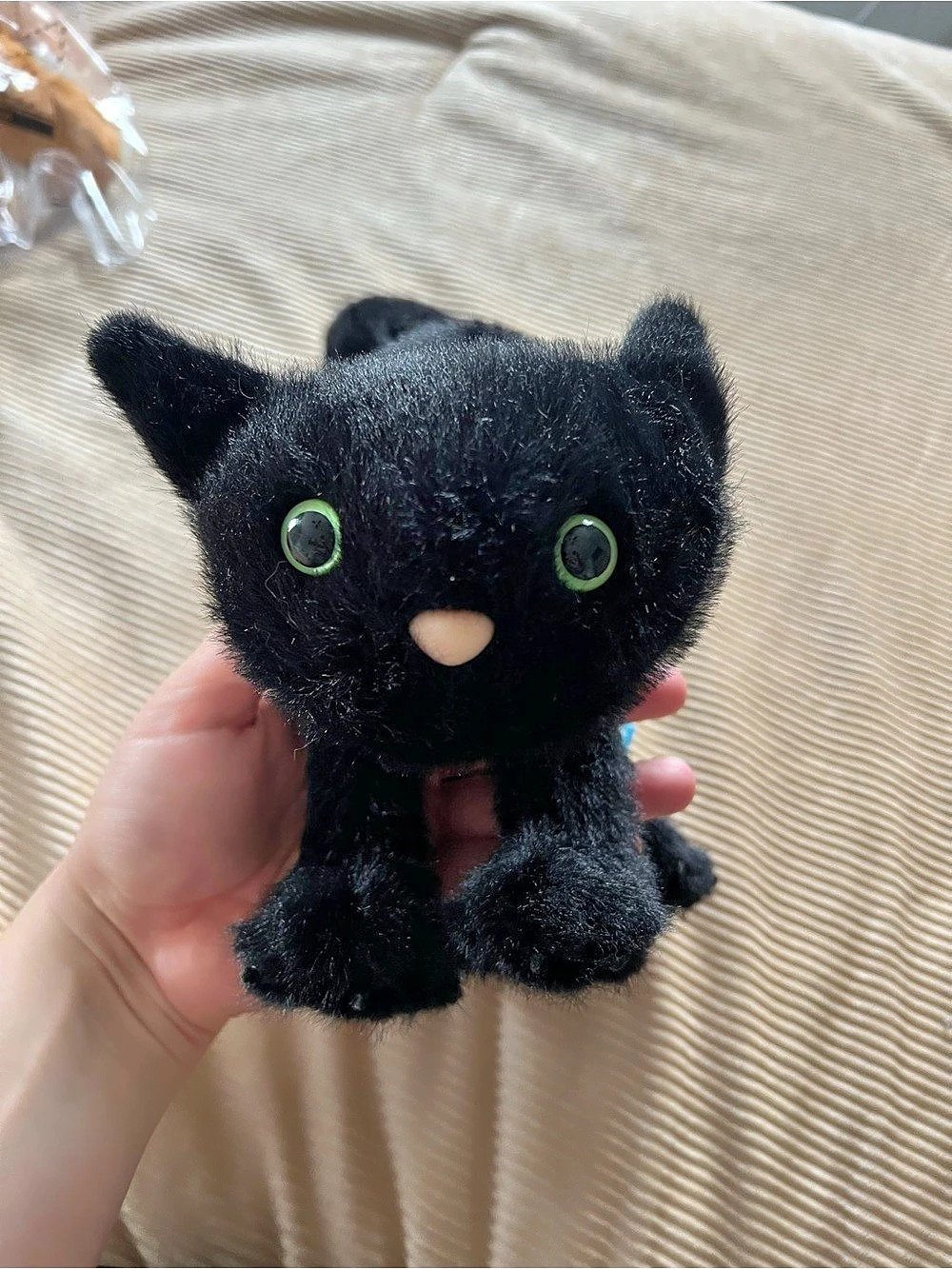 Jellycat Spookipaws Cat Black Plush Cat NWT